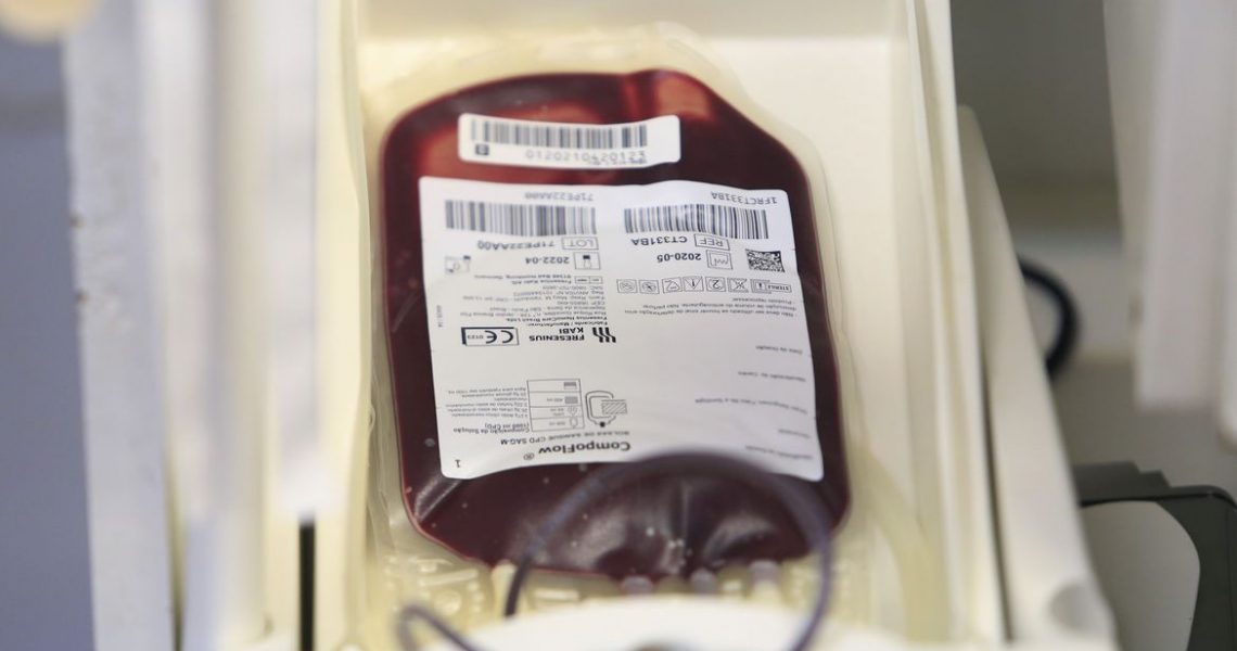 Saúde e Anvisa atualizam regras para doação de sangue durante pandemia