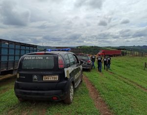 PCMG recupera gado avaliado em cerca de R$ 300 mil no Espírito Santo
