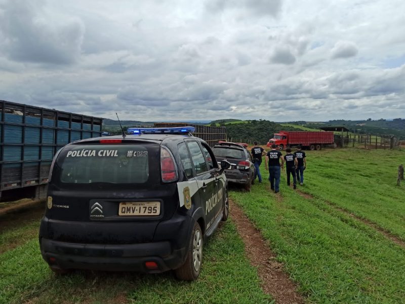PCMG recupera gado avaliado em cerca de R$ 300 mil no Espírito Santo