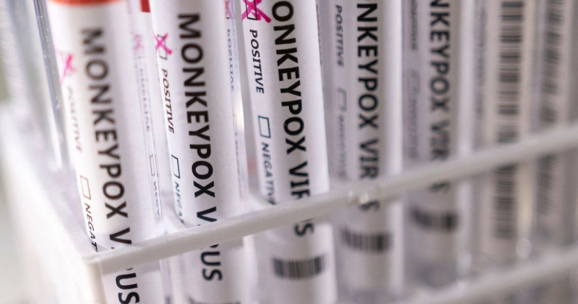 São Paulo confirma primeiro caso de varíola dos macacos no Brasil