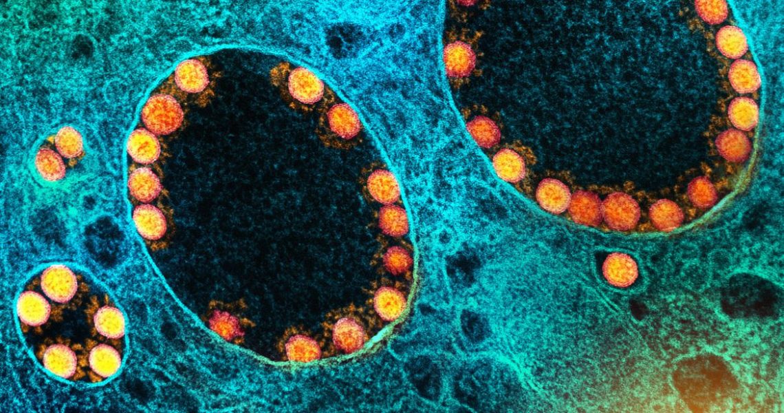 Pesquisa mostra eficácia da vitamina B12 para atenuar covid-19
