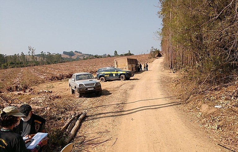 33 trabalhadores em situação análoga a de escravidão foram resgatados em operação conjunta no interior de MG