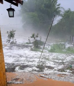 Mais de 16 mil hectares foram atingidos pelas chuvas de granizo em Minas Gerais