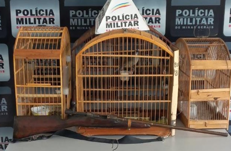 Homem é preso pela PM com fuzil e pássaros da fauna silvestre na zona rural de Divino