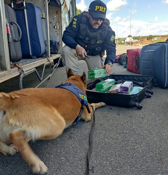 PRF flagra passageira transportando Maconha dentro de mala na BR 381 em Pouso Alegre (MG)