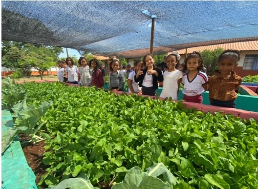 Escolas rurais mineiras das cidades de Uberaba, Uberlândia, Coromandel, Ibiá e Araxá ganham salas de leitura, hortas suspensas e parques infantis