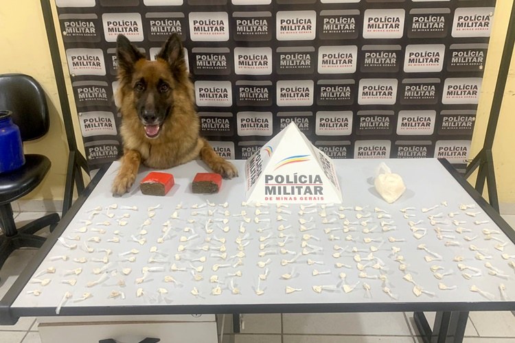 PM apreende aproximadamente 200 papelotes de cocaína e maconha no bairro João IV