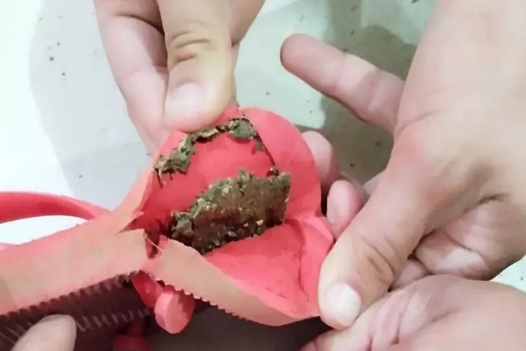 Vistoria em penitenciária em Muriaé flagra mulher tentando entrar com maconha escondida no chinelo