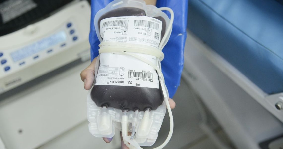 Aplicativo facilitará doações de sangue no Brasil