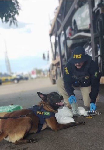 Fiscalização da PRF em Pouso Alegre (MG) flagra cegonheira transportando Cloridrato de Cocaína dentro de veículo
