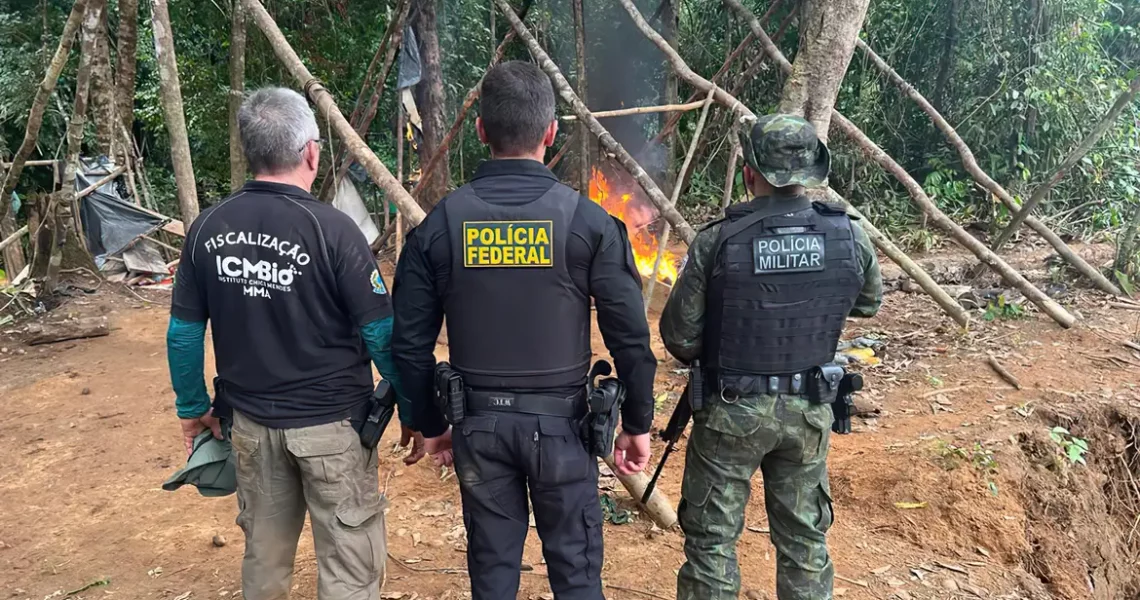 PF e ICMBio desativam garimpos ilegais no Pará
