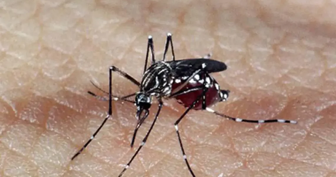 Brasil tem 391 mortes por dengue
