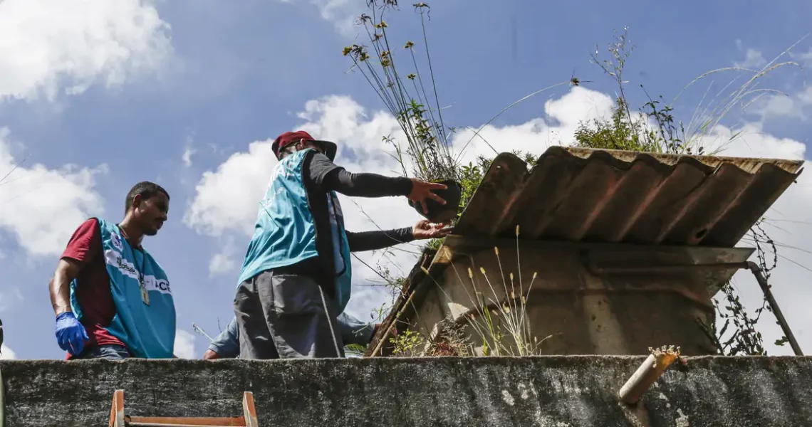 Sete estados e o DF têm tendência de queda nos casos de dengue
