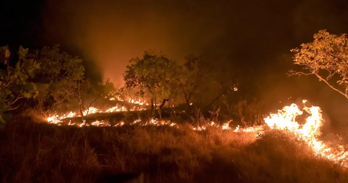 Brasil reduz em 12% emissões de gases do efeito estufa em 2023