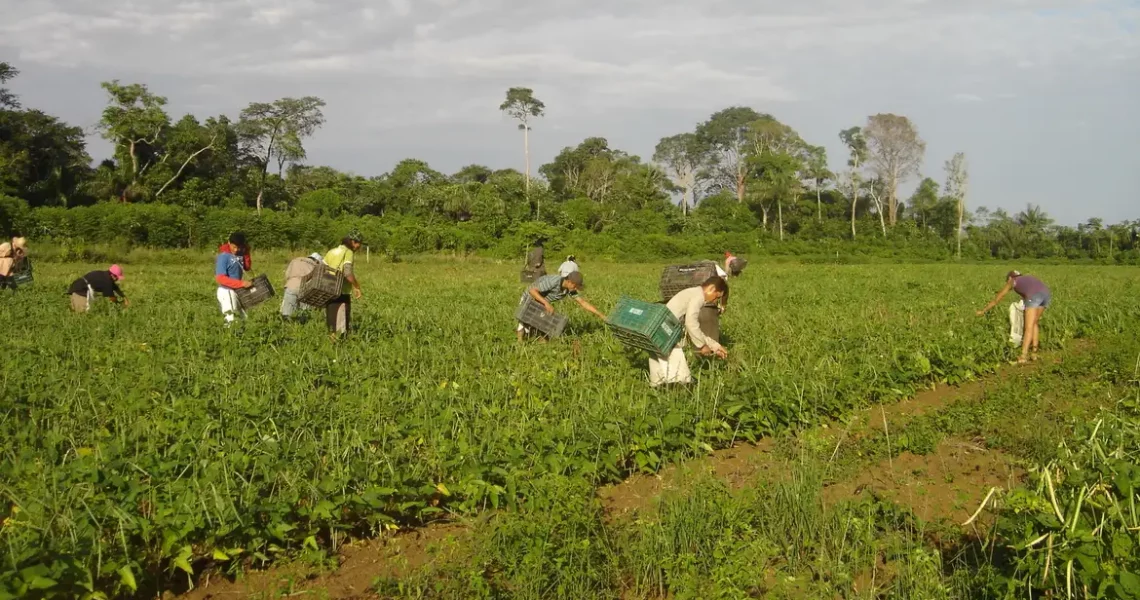 Programa AgroAmigo oferece R$ 1 bilhão em microcrédito