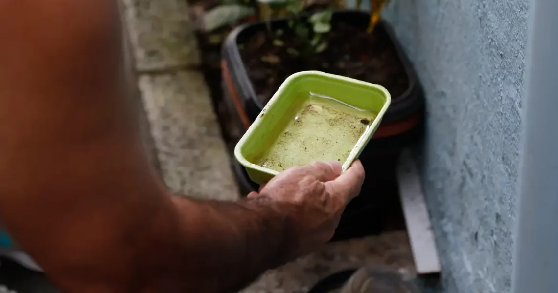 Chikungunya traz preocupações após uma década de presença no Brasil