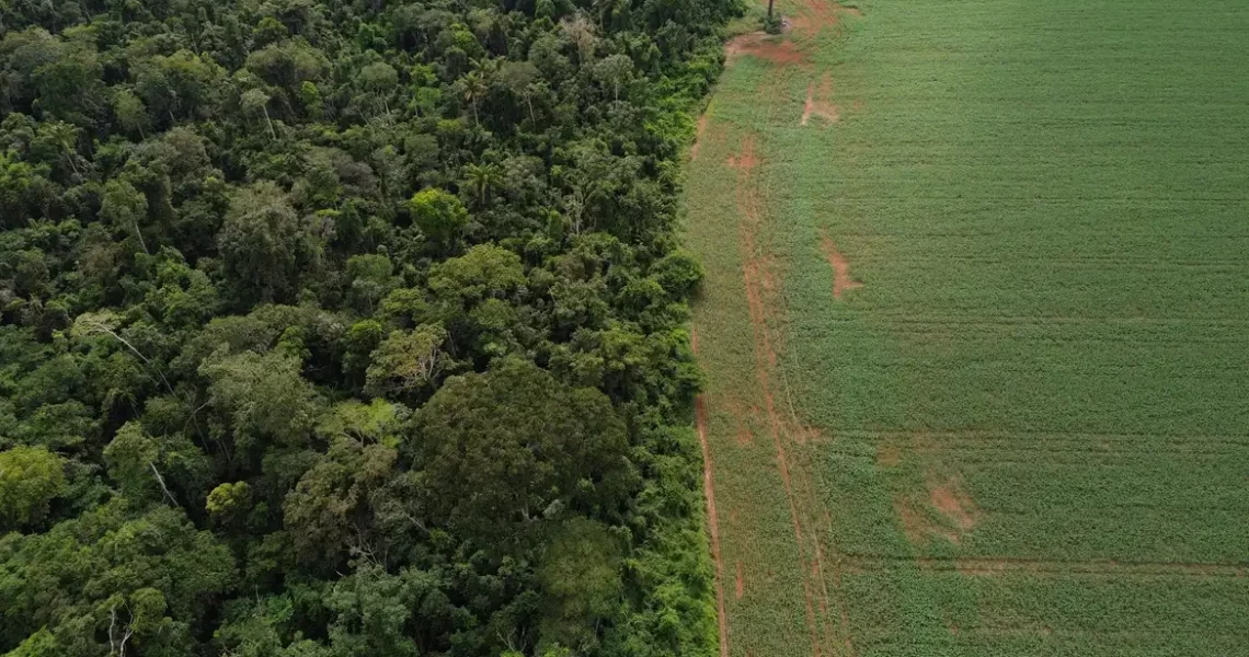 Brasil apresenta soluções de financiamento climático em Nova York