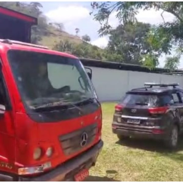 Polícia Civil recupera gado furtado e identifica suspeitos em Muriaé