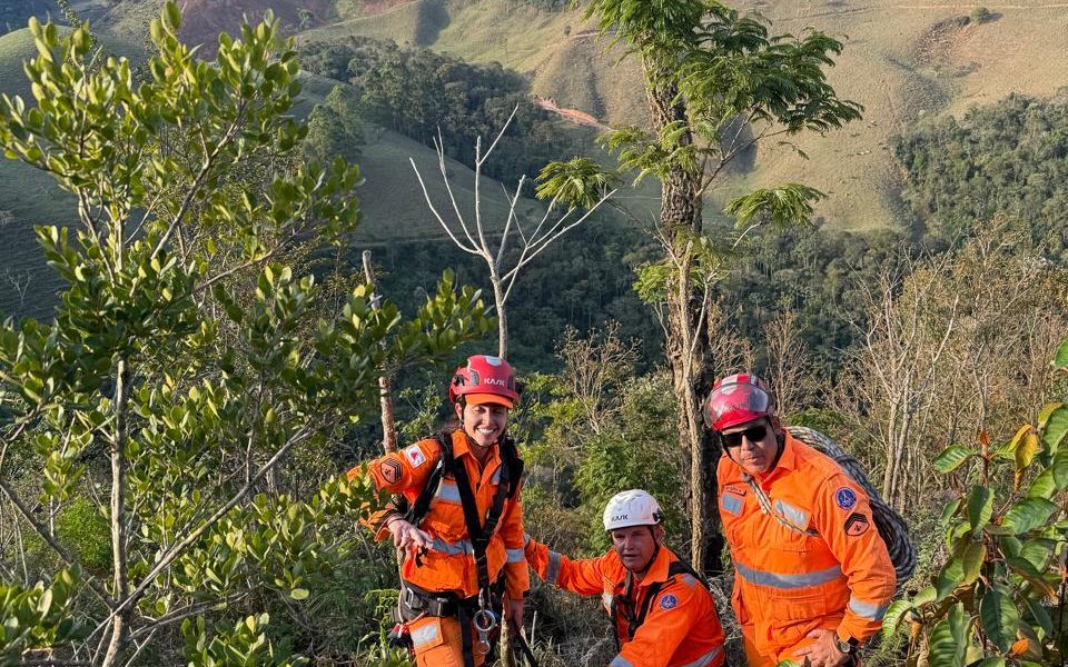 Bombeiros de Barbacena resgatam cão preso em Pedreira