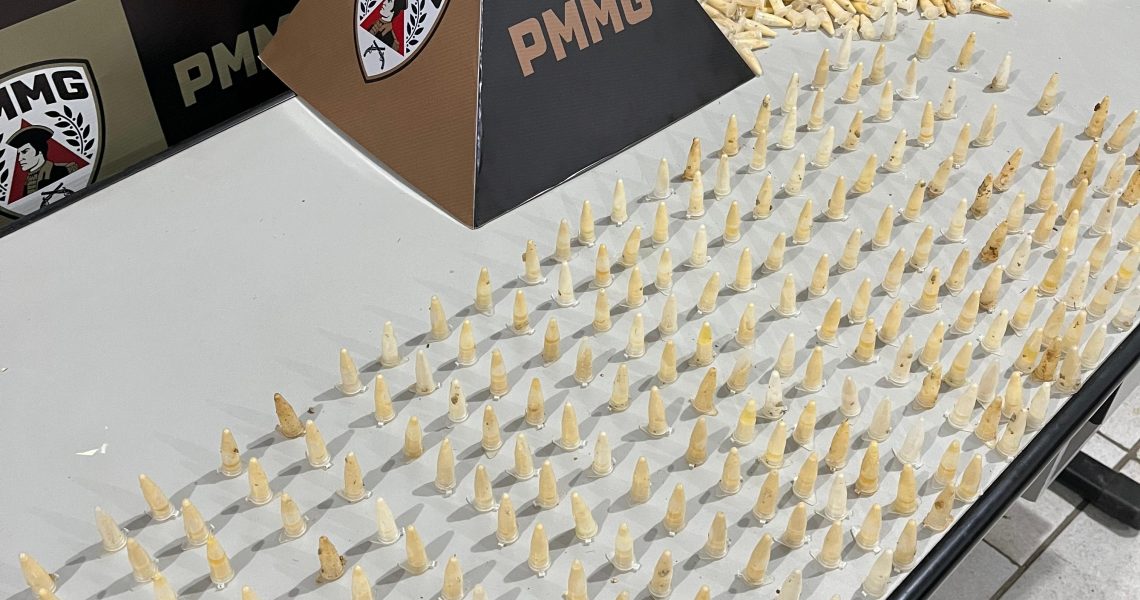 PMMG Apreende grande quantidade de cocaína escondida em mata próximo ao 47° BPM