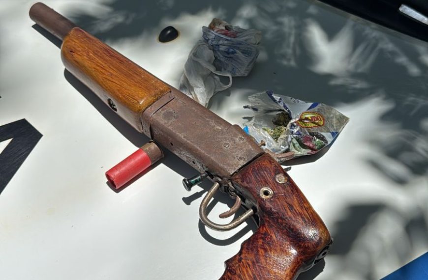 PM aprende arma de fogo e drogas durante operações em Faria Lemos…