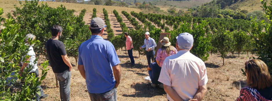 Circuito Frutificaminas encerra o ano com 1,5 mil participantes nos eventos da Emater