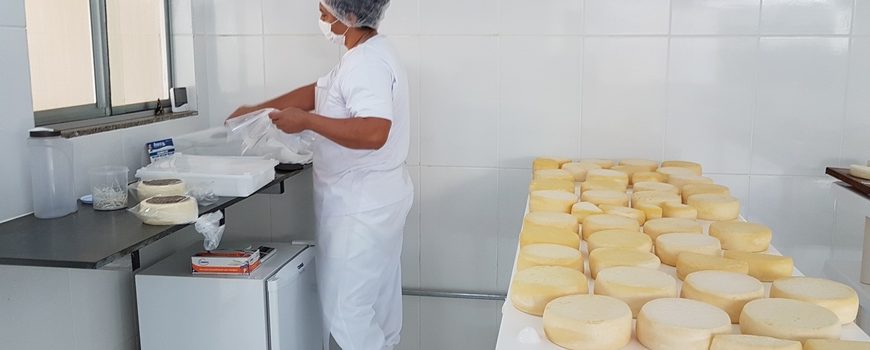 Dia Mundial do Queijo: em Minas, agroindústrias familiares produziram 43 mil toneladas&hellip;