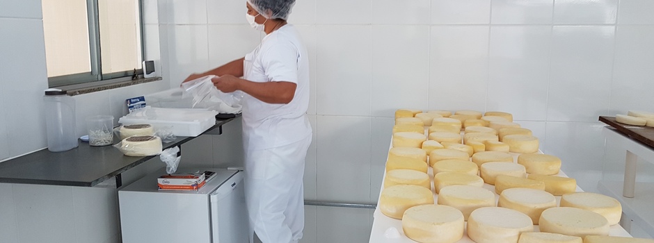 Dia Mundial do Queijo: em Minas, agroindústrias familiares produziram 43 mil toneladas em 2025