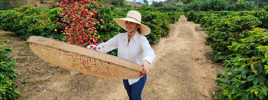 Exportações do agronegócio mineiro alcançam US$ 19,8 bilhões em 2025 e atingem novo recorde