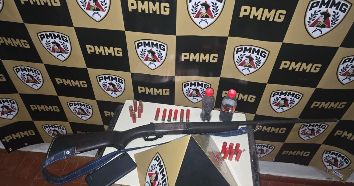 PM Prende homem por ameaça e posse ilegal de arma de fogo em  São Francisco do Glória Mg