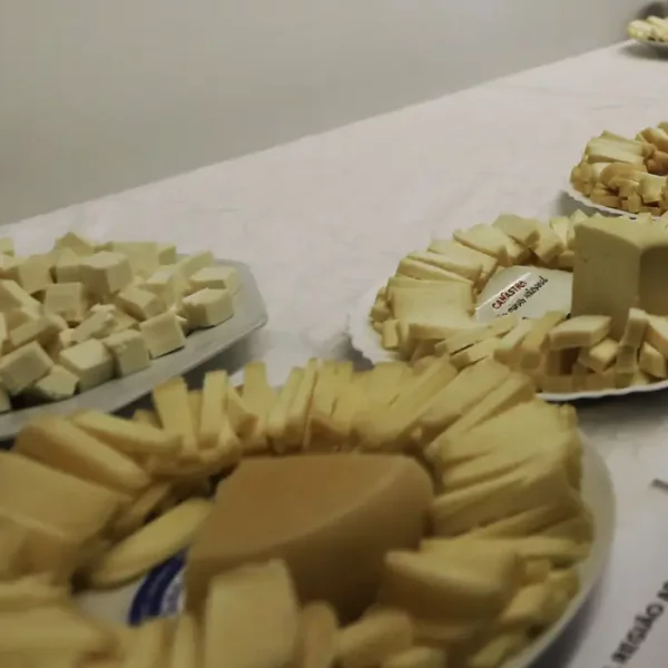 Brasil começa a importar queijo mais barato após acordo Mercosul–UE