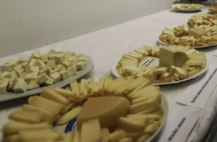 Brasil começa a importar queijo mais barato após acordo Mercosul–UE