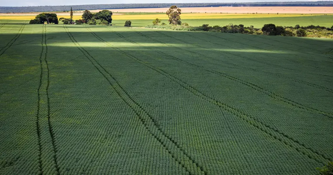 Senado aprova plano para fabricação de fertilizantes no Brasil