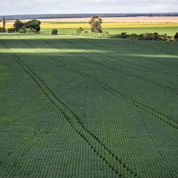 Senado aprova plano para fabricação de fertilizantes no Brasil