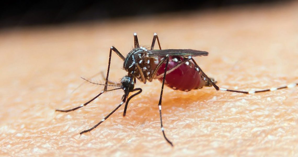 Taxa de mortalidade de doenças negligenciadas aumenta durante pandemia