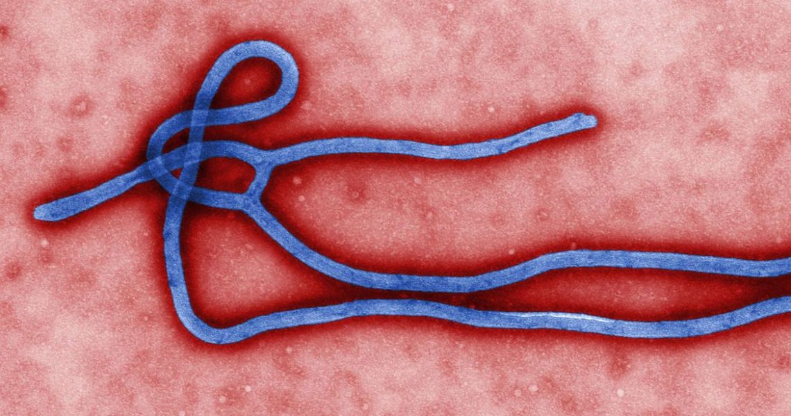 Novo surto de ebola atinge a República Democrática do Congo