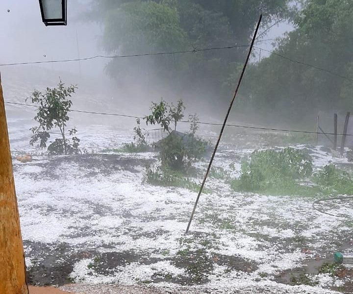 Mais de 16 mil hectares foram atingidos pelas chuvas de granizo em Minas Gerais