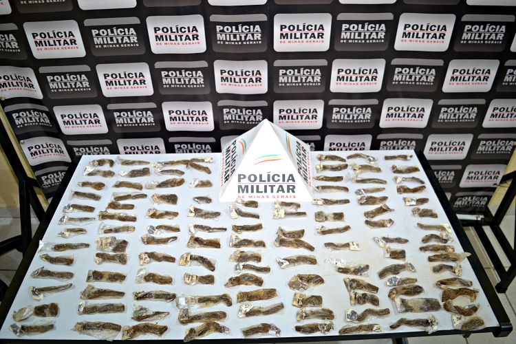 PM apreende mais de 100 tabletes de maconha enterradas no bairro Gaspar