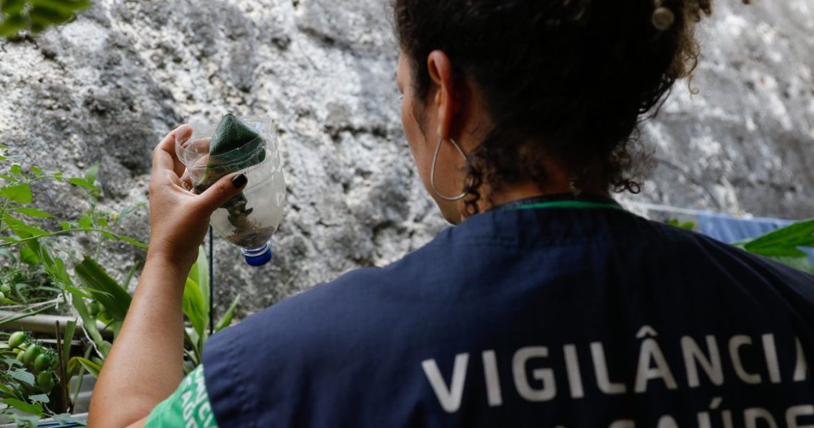 Com 32,3 mil casos prováveis, MG deve atingir pico da dengue em março
