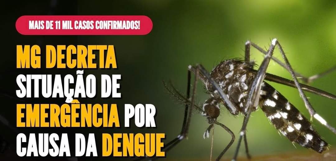Alerta: Governo de Minas decreta situação de emergência devido ao alto número de casos de dengue 