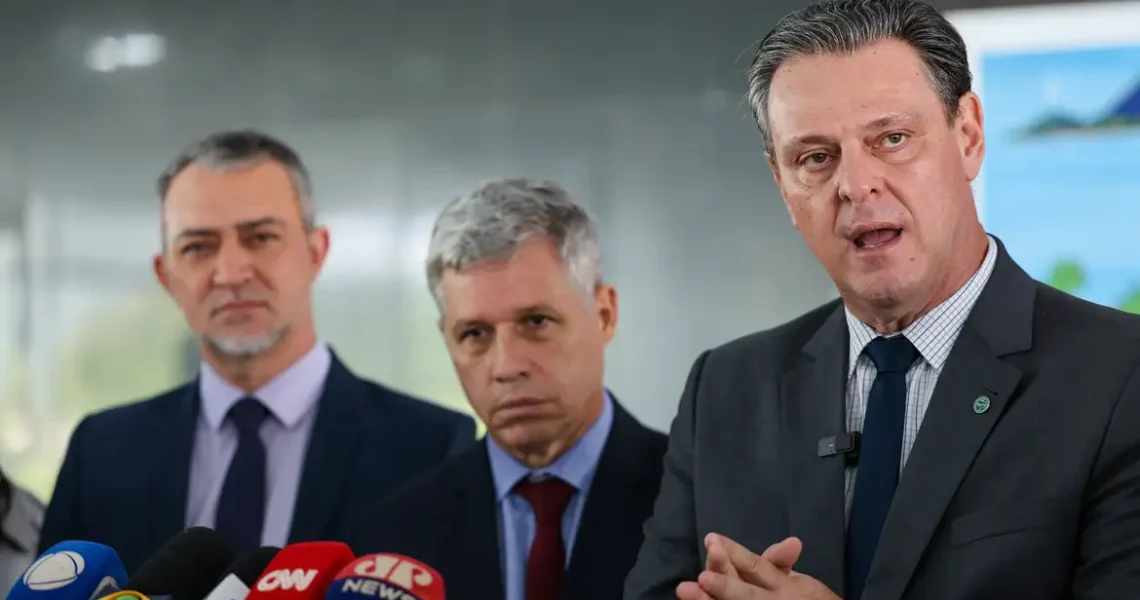 Preço do arroz deve cair cerca de 20% nas próximas semanas