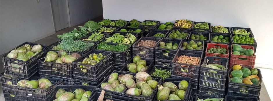 Estado vai investir até R$1,2 milhão para fomentar a modernização de bancos de alimentos municipais