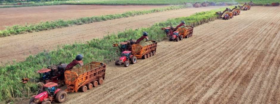 Governo de Minas publica análise do comércio exterior do agronegócio mineiro