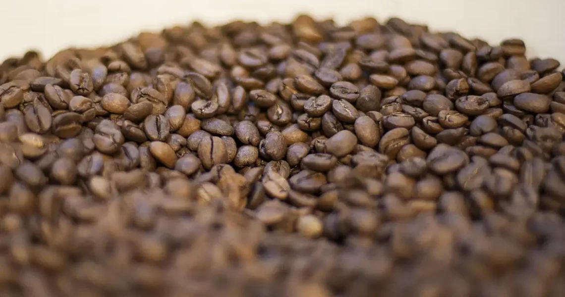 Agricultura manda recolher 16 marcas de cafés impróprios para consumo