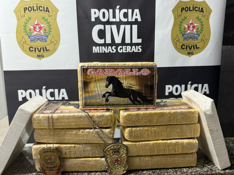 Operação Caballo: PCMG apreende 11 barras de cocaína em Muriaé