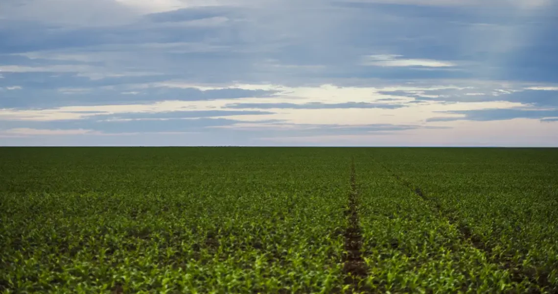Fazenda estuda Fundo Garantidor para dívidas rurais