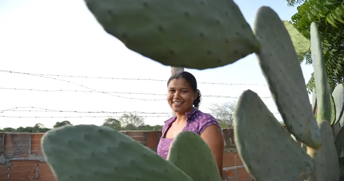 Mulheres comandam produção em duas em cada dez propriedades rurais